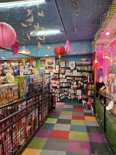 Toy Store «Toy Joy», reviews and photos, 403 W 2nd St, Austin, TX 78701, USA