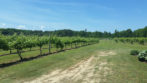 Vineyard «Cascia Vineyards & Winery», reviews and photos, 1200 Thompson Creek Rd, Stevensville, MD 21666, USA