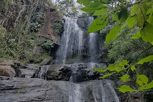 Buffalos' Waterfall image