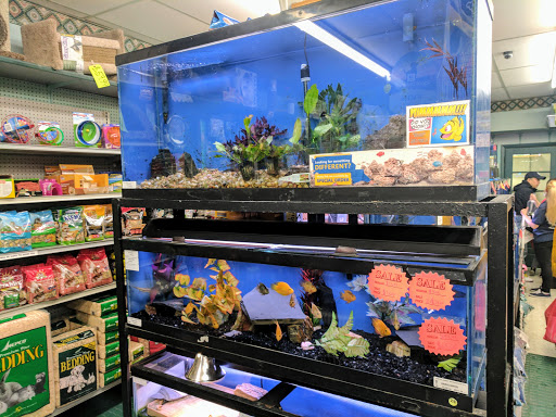 Pet Supply Store «Petland Discounts - Flushing», reviews and photos, 37-20 Main St, Flushing, NY 11354, USA