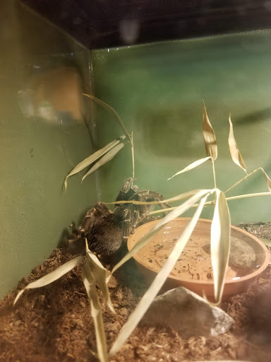 Zoo «Heritage Park Zoological Sanctuary», reviews and photos, 1403 Heritage Park Rd, Prescott, AZ 86301, USA