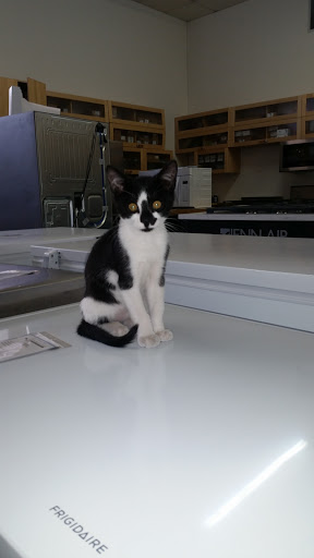 Appliance Store «The Appliance Center», reviews and photos, 21 Oak Ave, Panama City, FL 32401, USA