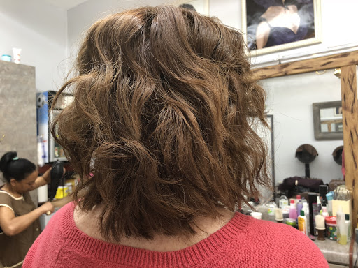 Beauty Salon «Ydelsa Unisex Beauty Salon», reviews and photos, 917 Onderdonk Ave, Flushing, NY 11385, USA