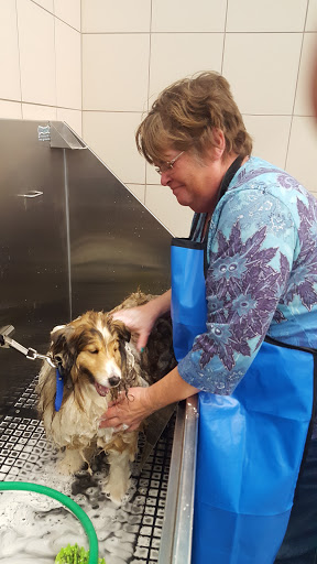 Pet Supply Store «Pet Supplies Plus», reviews and photos, 22124 Ecorse Rd, Taylor, MI 48180, USA