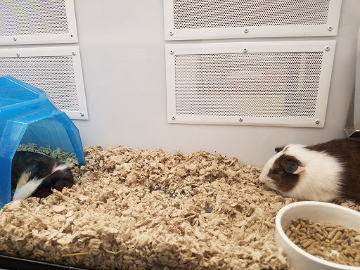 Pet Supply Store «Petco Animal Supplies», reviews and photos, 4616 Millenia Plaza Way, Orlando, FL 32839, USA