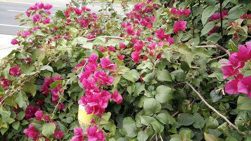 Thrift Store «Salvation Army Thrift Store», reviews and photos, 120 NW 10th St, Ocala, FL 34475, USA