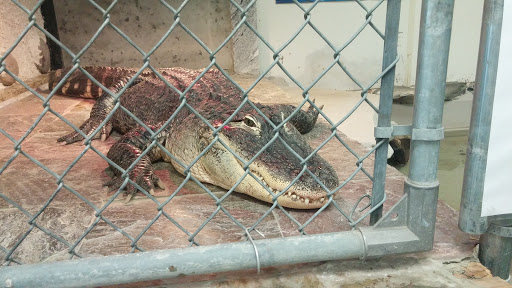 Pet Supply Store «Pure Paradise Pets», reviews and photos, 39 Putnam Pike, Johnston, RI 02919, USA