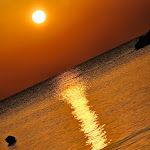 Photo n°1 de l'avis de Vincenzo.e fait le 28/08/2023 à 16:17 sur le  Embassy à Pesaro