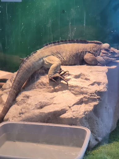 Pet Store «Pet Kingdom», reviews and photos, 4650 S Cleveland Ave, Fort Myers, FL 33907, USA