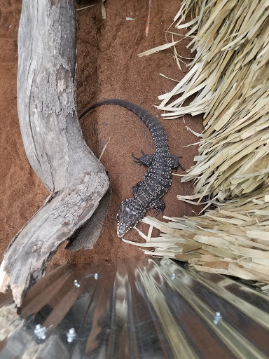 Zoo «Jozee Rooz Indoor Petting Zoo», reviews and photos, 120 138th St S, Tacoma, WA 98444, USA