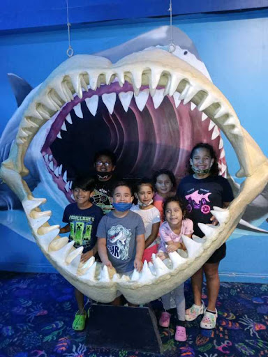 Day Care Center «Little Wonderland Child Care», reviews and photos, 531 W Malone Ave, San Antonio, TX 78214, USA