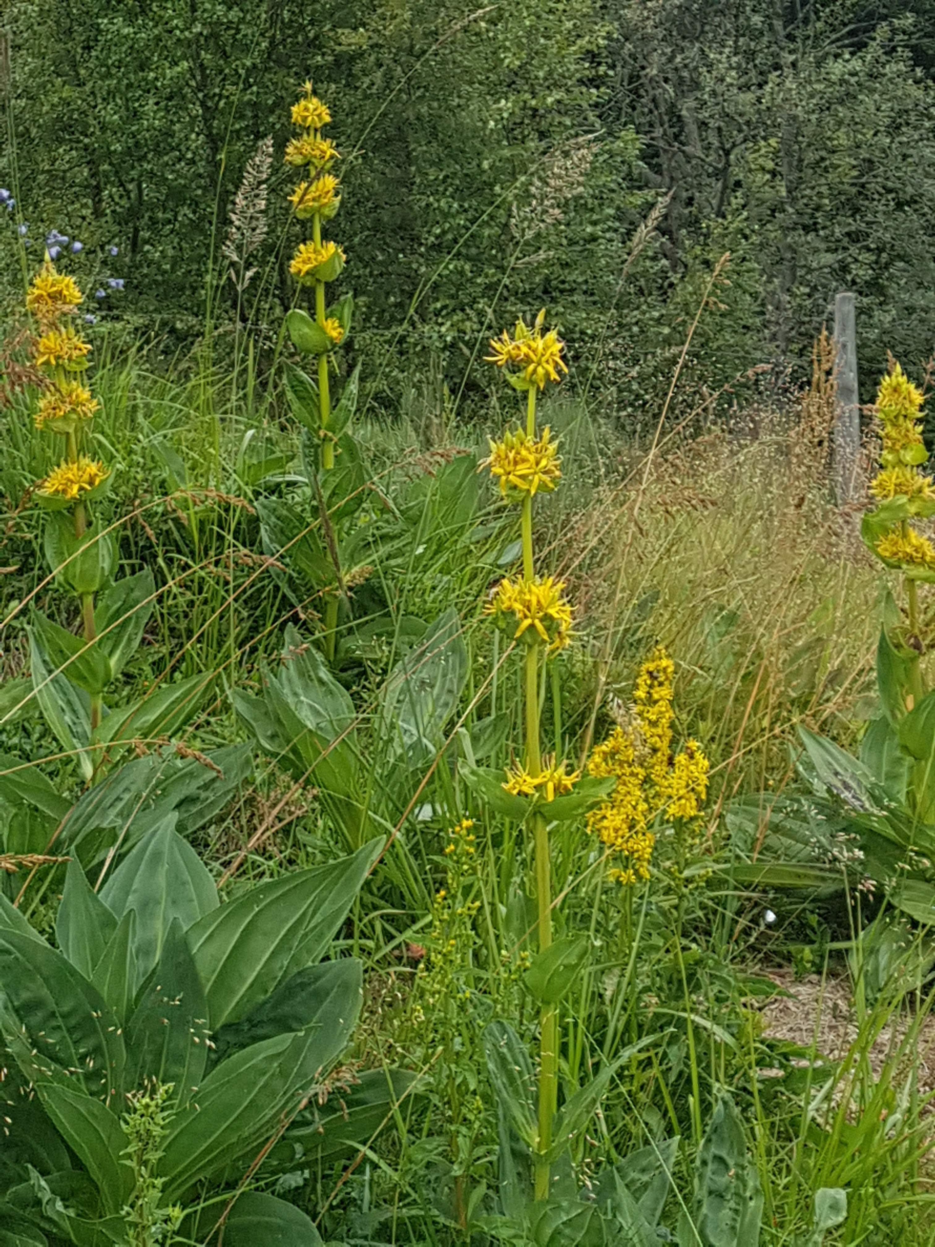 Photo n° 1 de l'avis de Arnaud.o fait le 05/08/2018 à 09:50