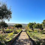 Photo n°2 de l'avis de Simon.e fait le 25/12/2023 à 08:51 sur le  Villa Gerace Azienda Bio à Enna