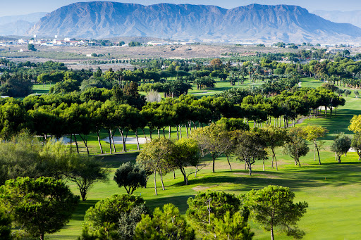 El Plantío Golf Resort