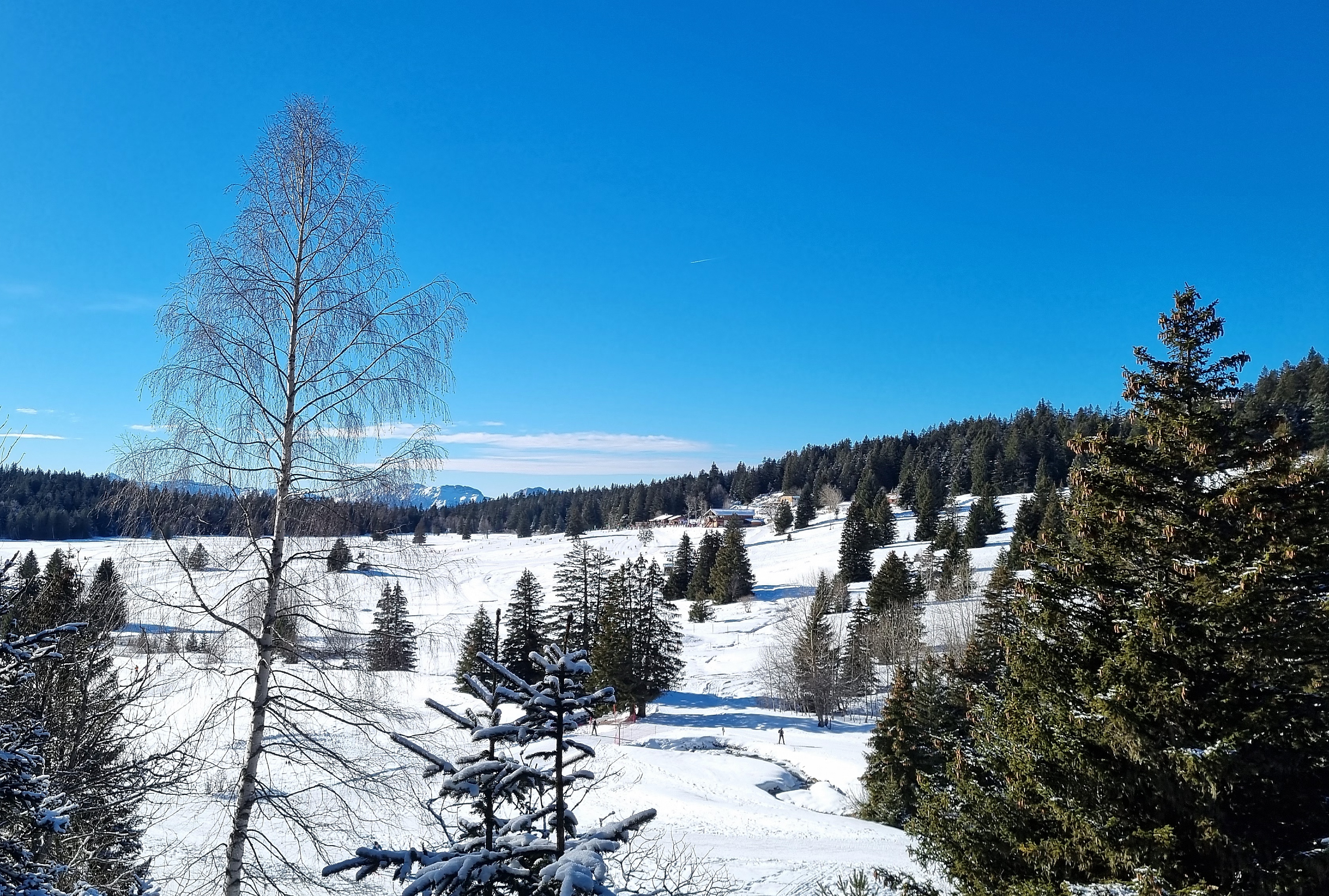 Photo n° 2 de l'avis de A. fait le 27/01/2024 à 15:45