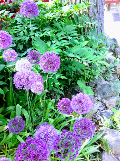 Grocery Store «Shoreless Acres General Store», reviews and photos, 5006 E Lake Rd, Livonia, NY 14487, USA