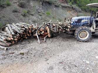 Devlethan Mahallesi Muhtarliği