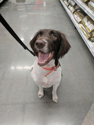 Pet Store «PetSmart», reviews and photos, 14903 4th Ave SW Ste 200, Burien, WA 98166, USA