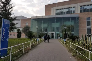 Marcianise Hospital image