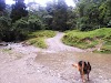 Reserva Ecologica Rio Blanco Logo, Manizales, Colombia, Park