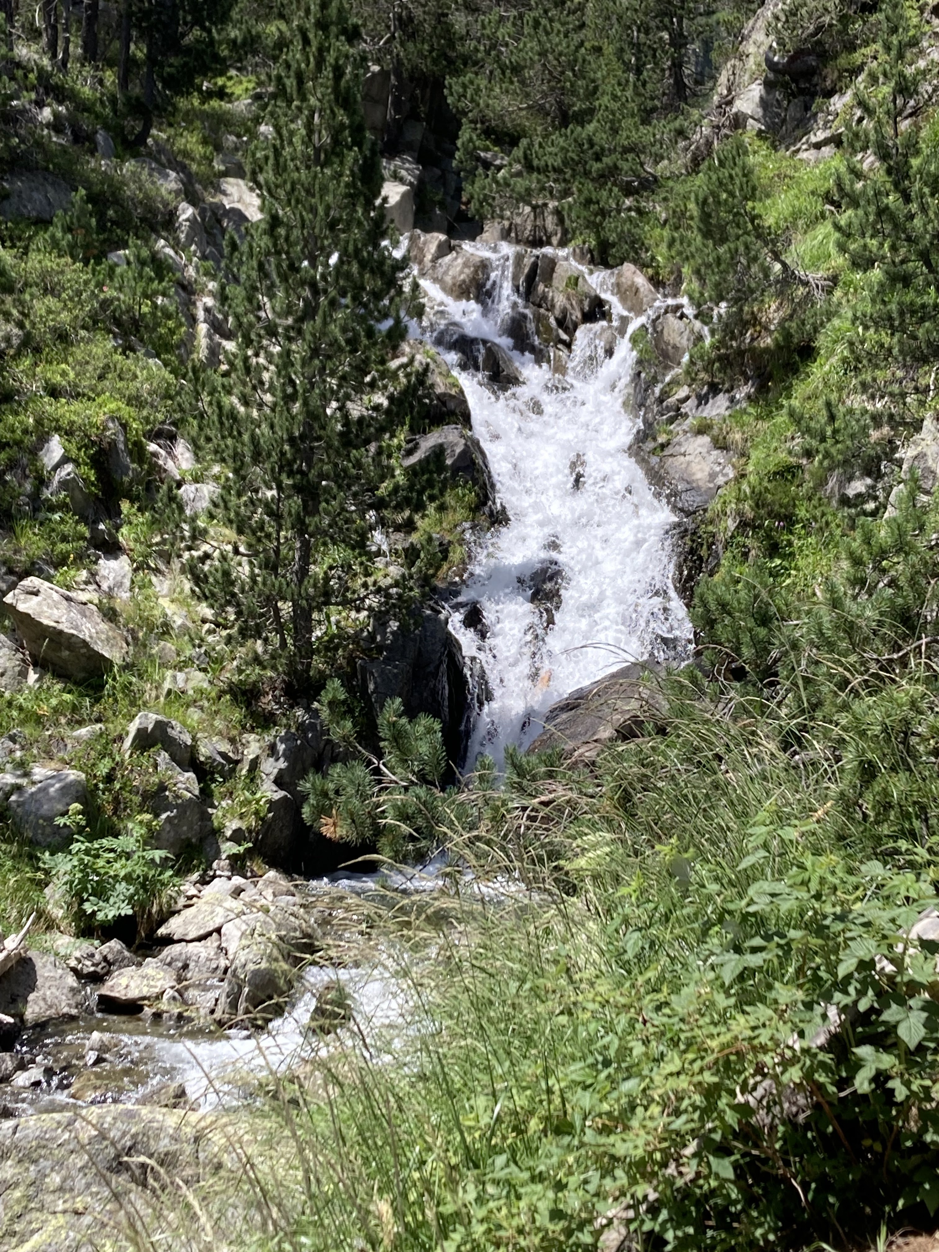 Photo n° 3 de l'avis de Guillaume.a fait le 21/07/2023 à 09:53