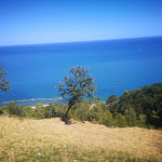 Photo n°4 de l'avis de stefania.p fait le 19/08/2021 à 22:35 sur le  Gibas à Pesaro