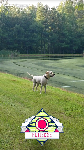 Pet Groomer «The Fetch House», reviews and photos, 130 W Washington St, Madison, GA 30650, USA