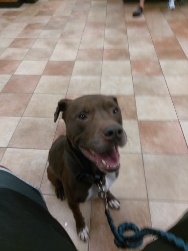 Pet Supply Store «PetSmart», reviews and photos, 5722 Fairmont Pkwy, Pasadena, TX 77505, USA