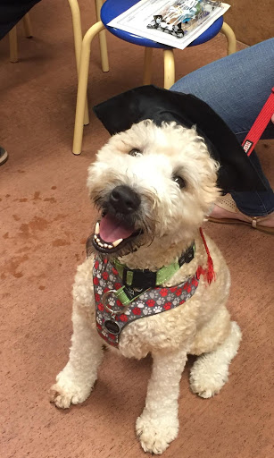 Pet Supply Store «PetSmart», reviews and photos, 5 Main St, East Hartford, CT 06118, USA