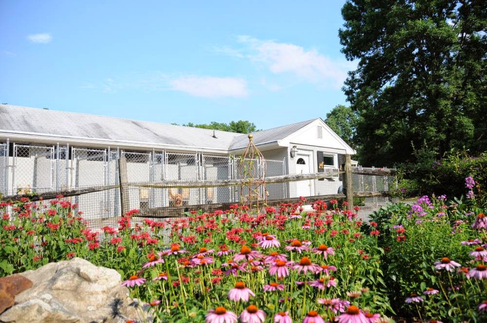 The Dog House Kennel