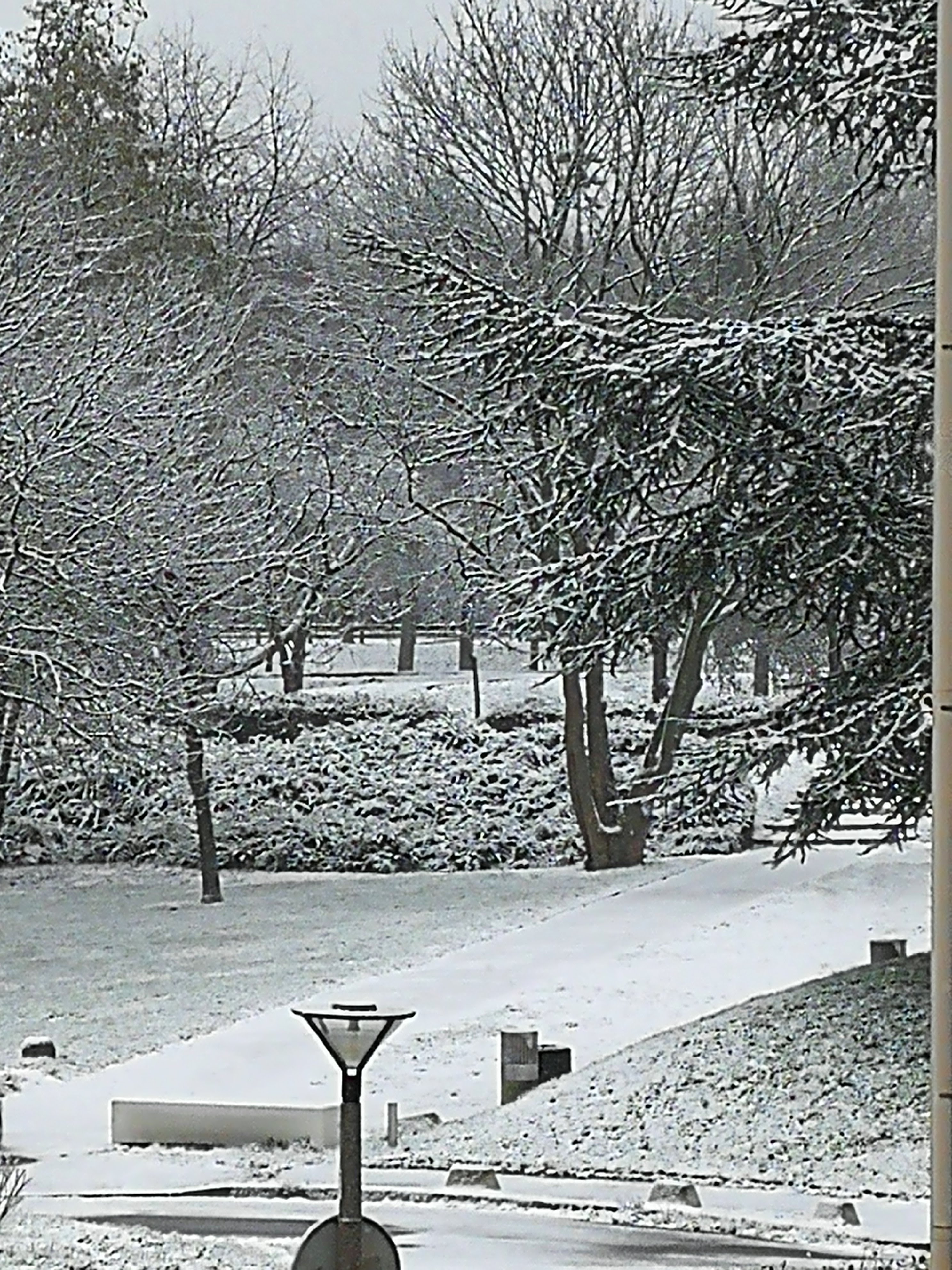 Photo n° 3 de l'avis de Julien.o fait le 07/02/2018 à 07:58