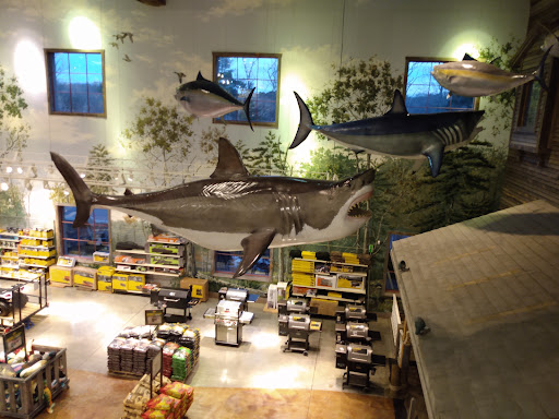 Sporting Goods Store «Bass Pro Shops», reviews and photos, 1 Bass Pro Dr, Foxborough, MA 02035, USA