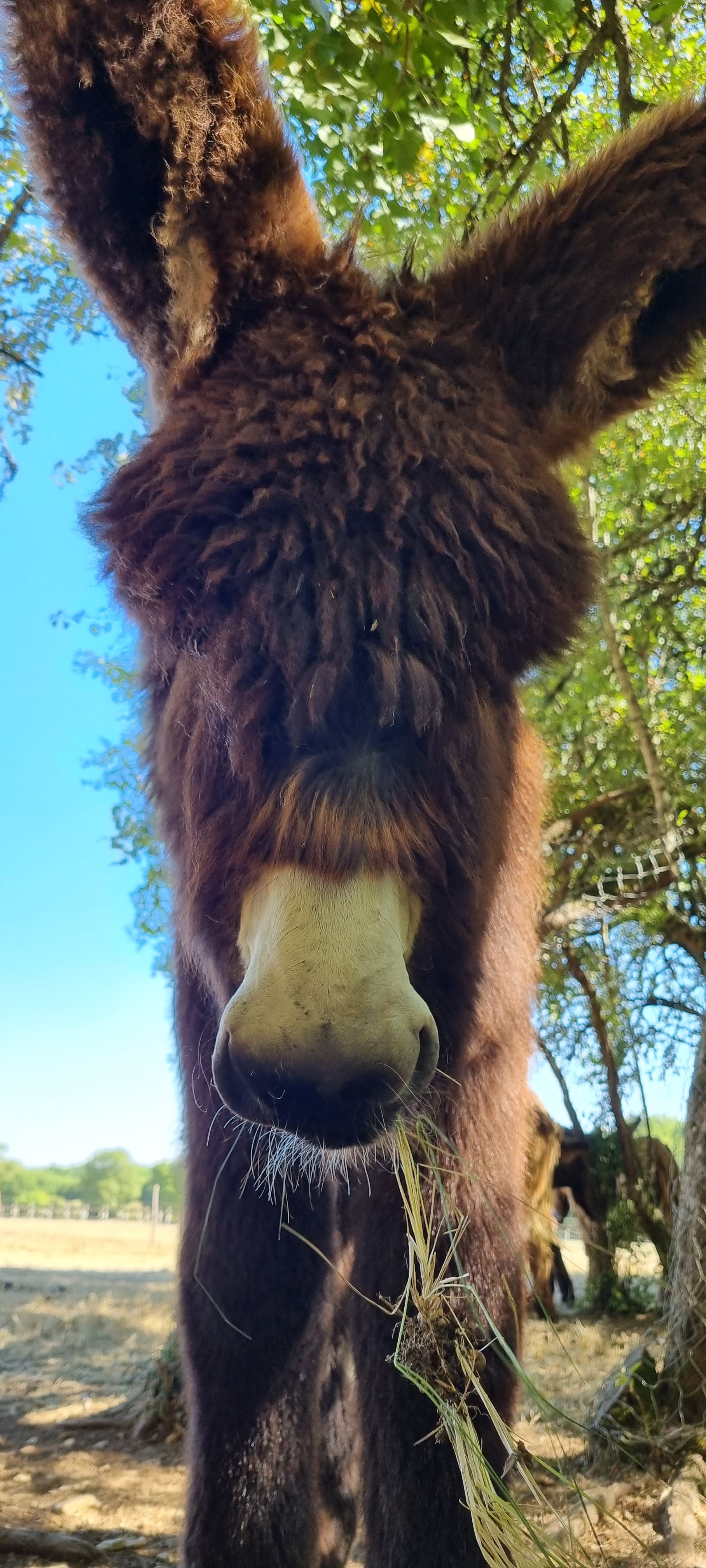 Photo n° 1 de l'avis de Caroline. fait le 11/08/2022 à 15:13