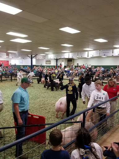 Event Venue «Southeastern Livestock Pavilion», reviews and photos, 2232 NE Jacksonville Rd, Ocala, FL 34470, USA