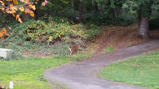 Private Golf Course «Michelbook Country Club», reviews and photos, 1301 NW Michelbook Ln, McMinnville, OR 97128, USA