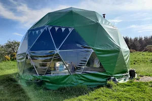 Pant y Rhedyn Glamping and Campsite image
