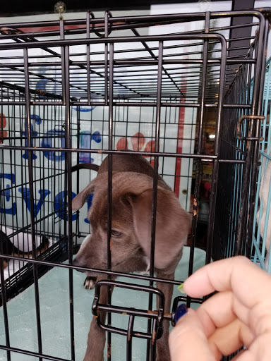 Pet Supply Store «Yummy Tummy Pet Supply», reviews and photos, 27149 185th Ave SE, Covington, WA 98042, USA