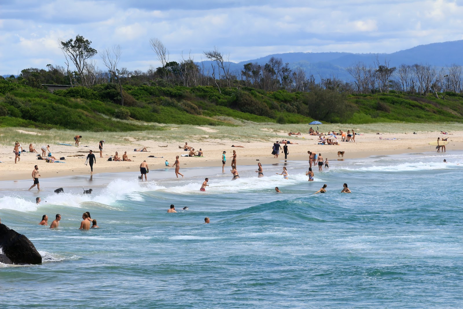 Belongil Beach photo #8