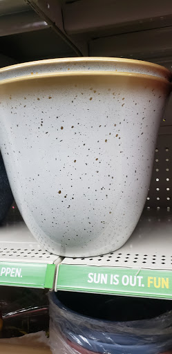 Discount Store «Dollar General», reviews and photos, 1249 Pocono Blvd, Mt Pocono, PA 18344, USA