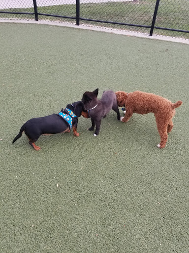 Dog Park «Bay Park Dog Park», reviews and photos, 2 Marjorie Ln, East Rockaway, NY 11518, USA