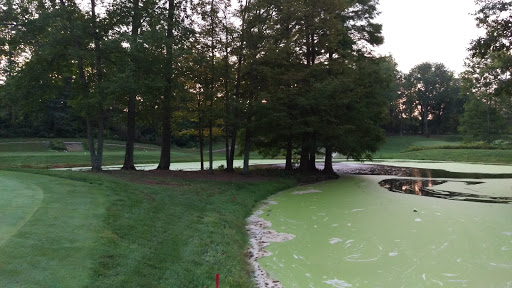 Golf Course «Vineyard Golf Course», reviews and photos, 600 Nordyke Rd, Cincinnati, OH 45255, USA