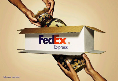 FedEx - LionPack