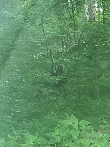 Golf Course «McDonald Golf Course», reviews and photos, 2905 E Morgan Ave, Evansville, IN 47711, USA