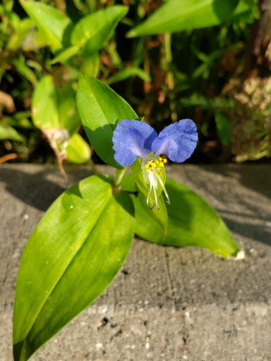 Park «Coon Rapids Dam Regional Park», reviews and photos, 9750 Egret Blvd NW, Coon Rapids, MN 55433, USA