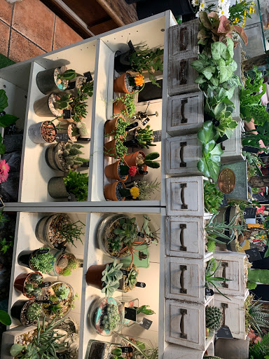 Florist «Chaba Florists», reviews and photos, 71 Stuart St, Boston, MA 02116, USA