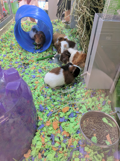 Pet Store «PetSmart», reviews and photos, 17150 Ventura Blvd, Encino, CA 91316, USA