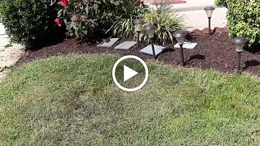 Fast Food Restaurant «Sonic Drive-In», reviews and photos, 1331 Bell Rd, Antioch, TN 37013, USA