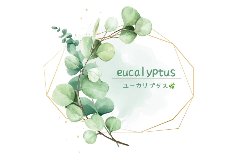 eucalyptus～ユーカリプタス～
