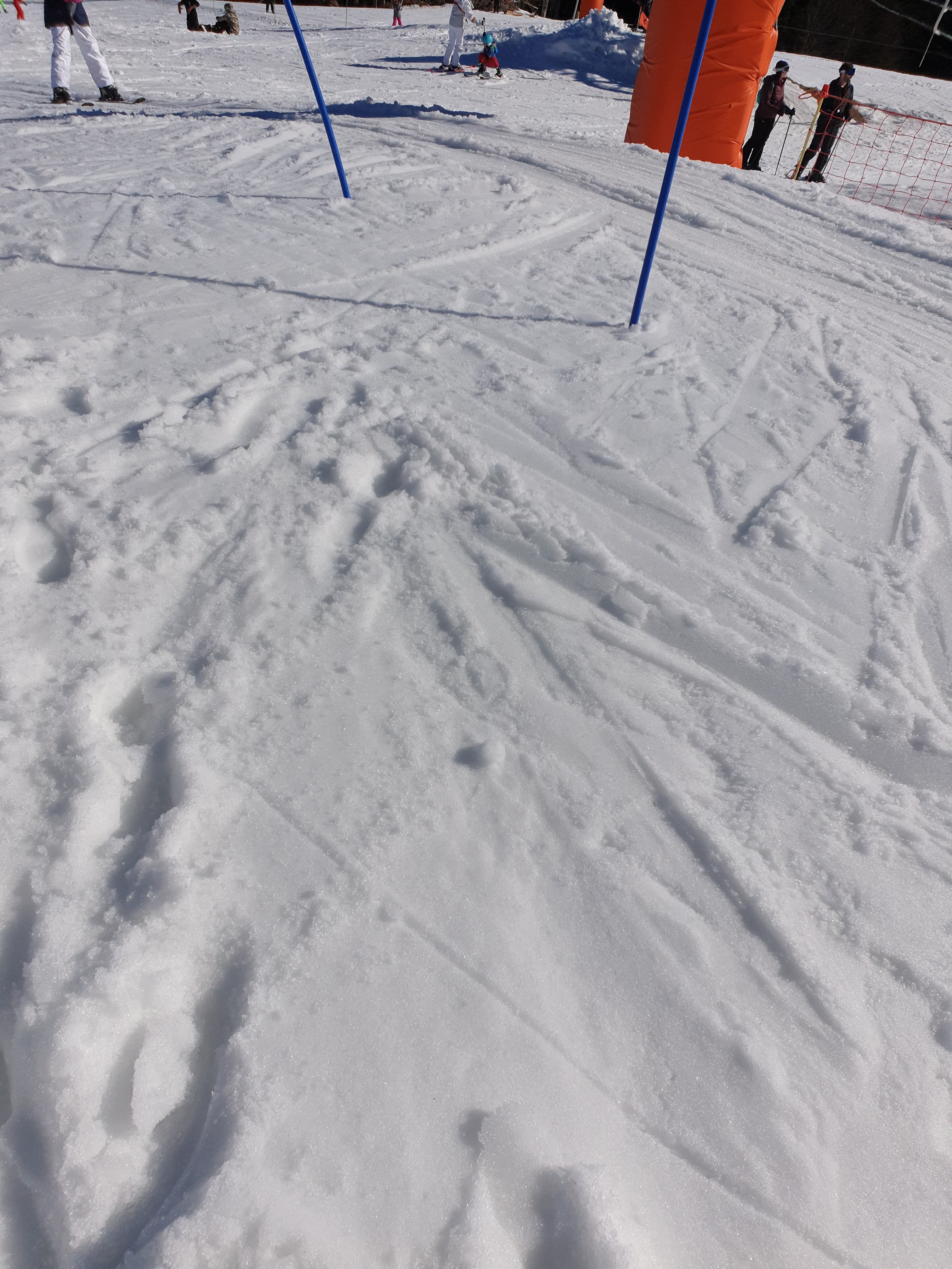 Photo n° 1 de l'avis de ffeufeu. fait le 25/02/2019 à 18:57