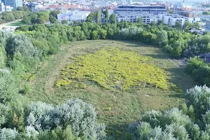 Edmund Szyc Stadium image